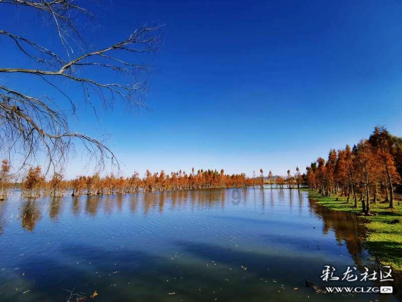 一体式雷达液位计